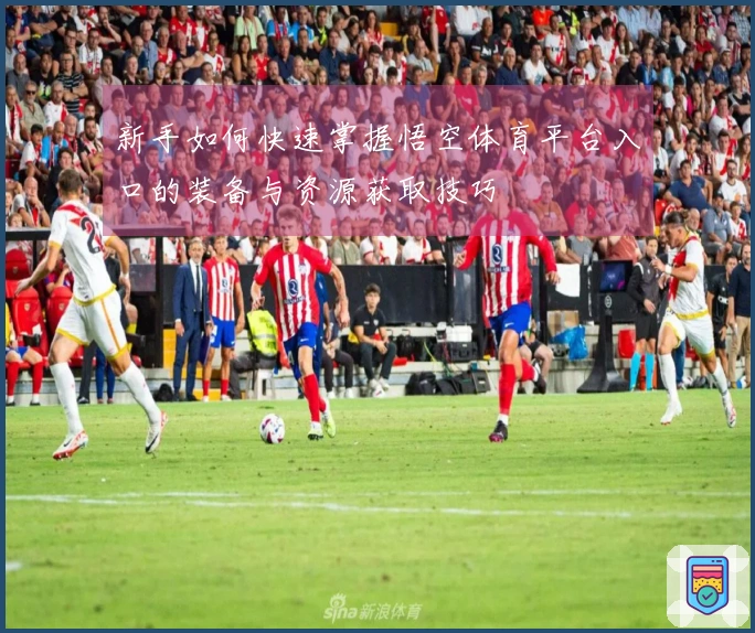 新手如何快速掌握悟空体育平台入口的装备与资源获取技巧