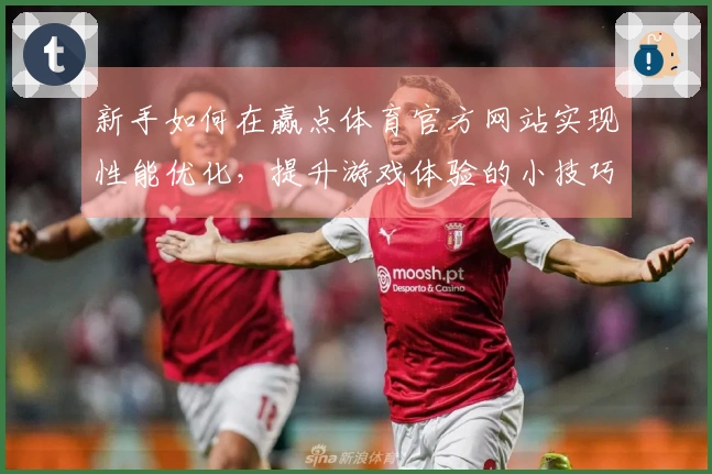 新手如何在赢点体育官方网站实现性能优化，提升游戏体验的小技巧