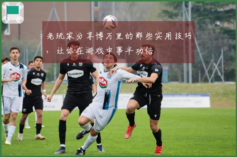 老玩家分享博万里的那些实用技巧，让你在游戏中事半功倍
