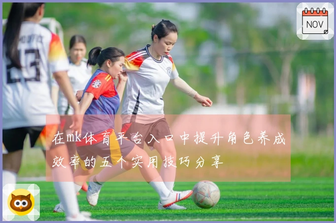 在mk体育平台入口中提升角色养成效率的五个实用技巧分享