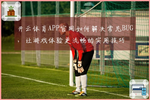 开云体育APP官网如何解决常见BUG，让游戏体验更流畅的实用技巧