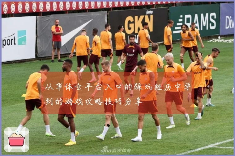 从华体会平台入口的踩坑经历中学到的游戏攻略技巧分享