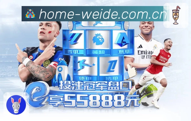 数据分析功能